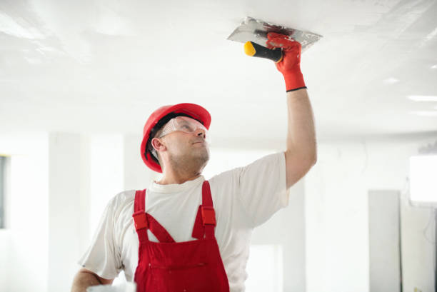 Best Water-Damaged Drywall Repair  in Cle Elum, WA